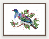 Kereru - Aotearoa Florals Collection - Watercolour Print